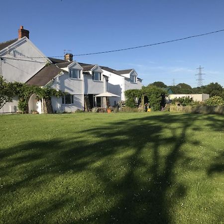 Brynawel Farm B&B Pontlliw Eksteriør bilde