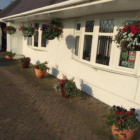 Brynawel Farm B&B Pontlliw Eksteriør bilde