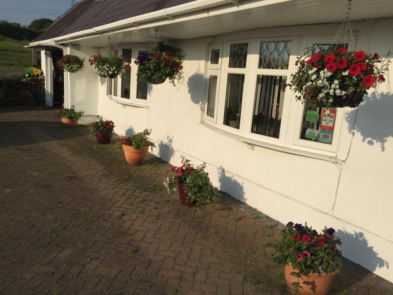 Brynawel Farm B&B Pontlliw Eksteriør bilde